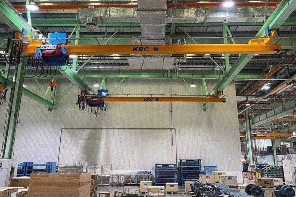 European Suspension Crane Actual Cases (7)
